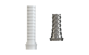 PEEK & Ti Temporary Cylinders