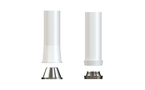 Passive Abutment™ – Screw Retained