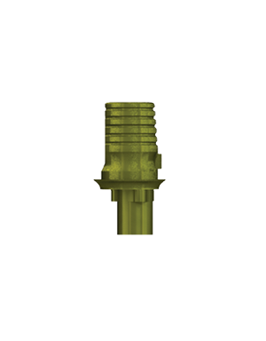 CAD/CAM Abutment