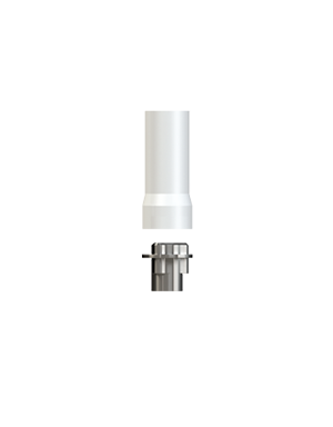 Passive Abutment
