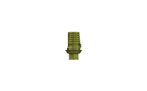 CAD/CAM Abutment – Screw Retained Crowns