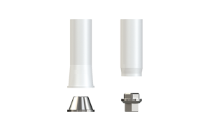 Passive Abutment™ – Screw Retained