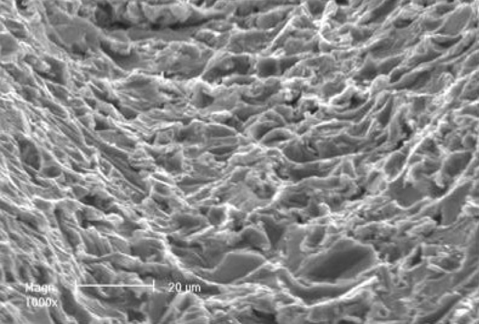 PRIM Surface